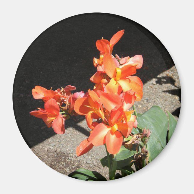 Sonnenscheinende Liebe... Magnet (Vorne)