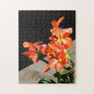 Sonnenscheinende Liebe... Puzzle