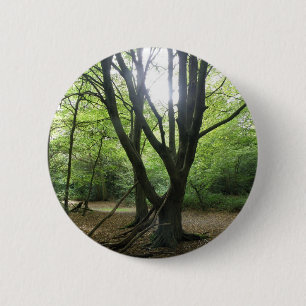 Sonnenscheintaste in Woodland Button