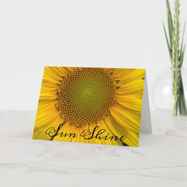 SONNENSCHIRM FOTO GREETKARTE KARTE (Vorderseite)