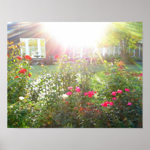 SONNENSCHIRM UND ROSE-Poster Poster