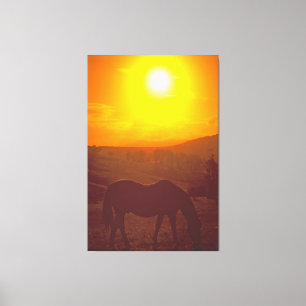 SONNENSCHÖNHEIT 40x60 Leinwanddruck