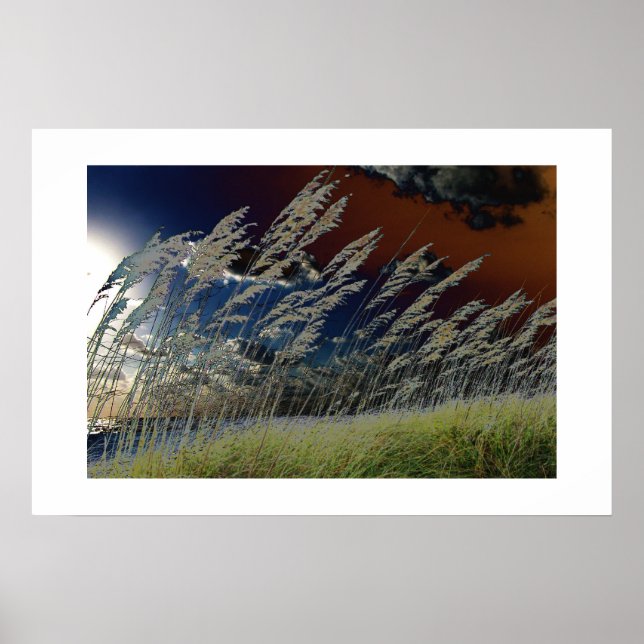 Sonnenseebeet auf dem Florida-Strand Poster (Vorne)