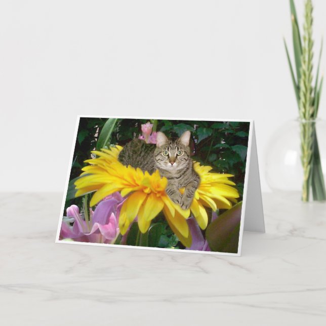 Sonnenseite der Straße Karte (Vorderseite)