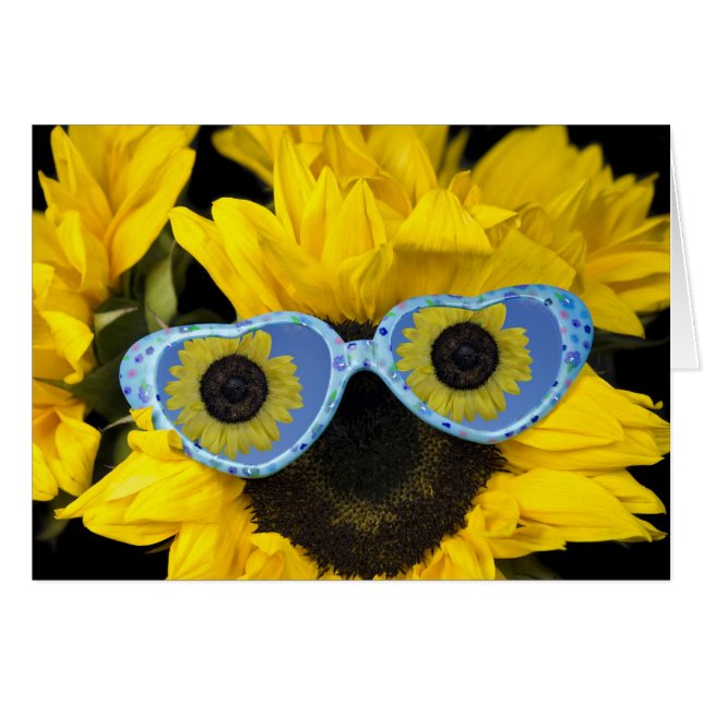 Sonnenspass (Vorderseite (Horizontal))