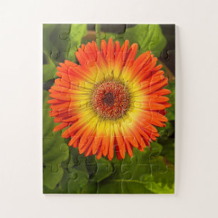 Sonnenstrahl Gerbera Alzheimer-Denkmal Puzzle