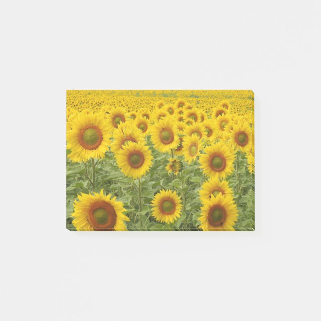 Sonnenstrahl Post-it Klebezettel (Vorderseite)