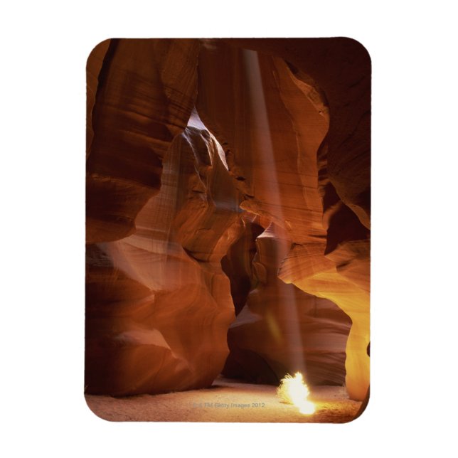 Sonnenstrahlen auf dem Canyon-Boden Magnet (Vertikal)
