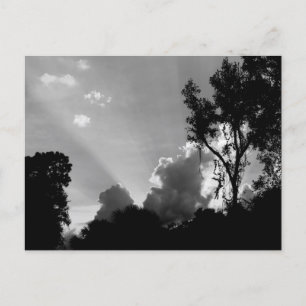 Sonnenstrahlen bei Sonnenuntergang Foto B&W Postkarte