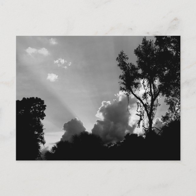 Sonnenstrahlen bei Sonnenuntergang Foto B&W Postkarte (Vorderseite)