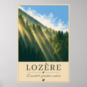 Sonnenstrahlen durch den Bergwald Poster