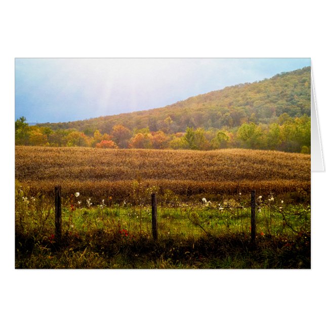 Sonnenstrahlen im Herbst (Vorderseite (Horizontal))