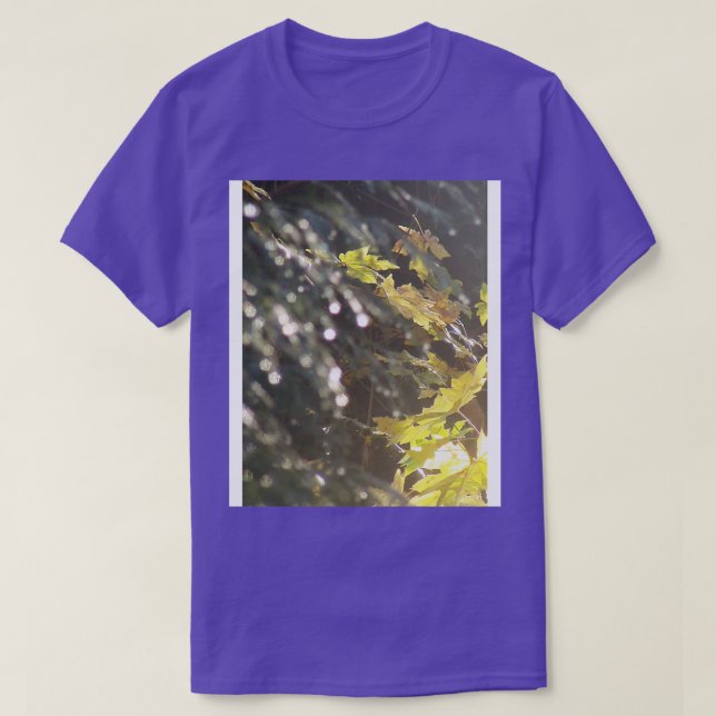 Sonnenstrahlen im Herbst 53 T-Shirt (Design vorne)