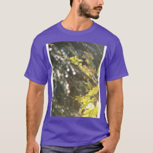 Sonnenstrahlen im Herbst 53 T-Shirt