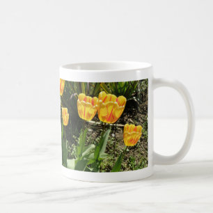 Sonnenstrahlen in der Tasse