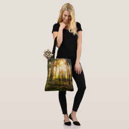 Sonnenstrahlen leuchten im Kiefernwald