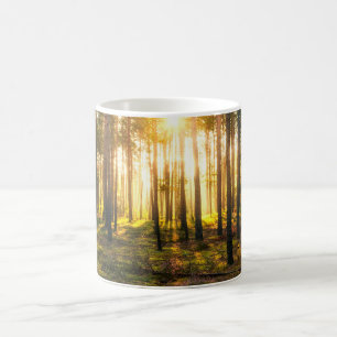 Sonnenstrahlen leuchten im Kiefernwald Kaffeetasse