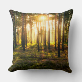 Sonnenstrahlen leuchten im Kiefernwald Kissen