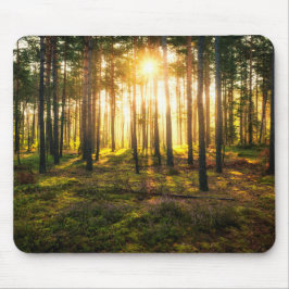 Sonnenstrahlen leuchten im Kiefernwald Mousepad