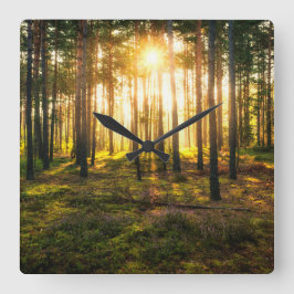 Sonnenstrahlen leuchten im Kiefernwald Quadratische Wanduhr