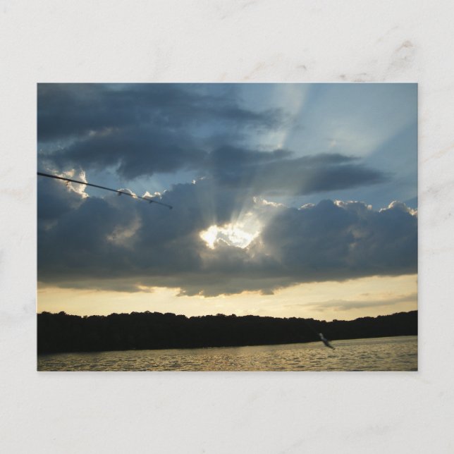 Sonnenstrahlen mit Fisch Postkarte (Vorderseite)