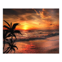 SONNENSTRANDSCHÖNHEIT