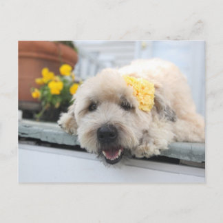 Sonnentag Wetter Postkarte