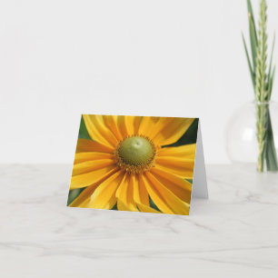 Sonnentags florale Fotokarte Karte