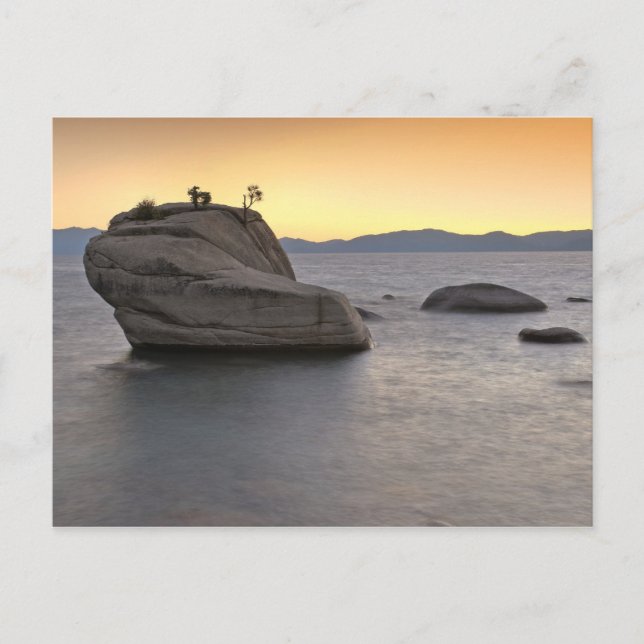 Sonnenuntergang am Bonsai Rock, Lake Tahoe.. Postkarte (Vorderseite)