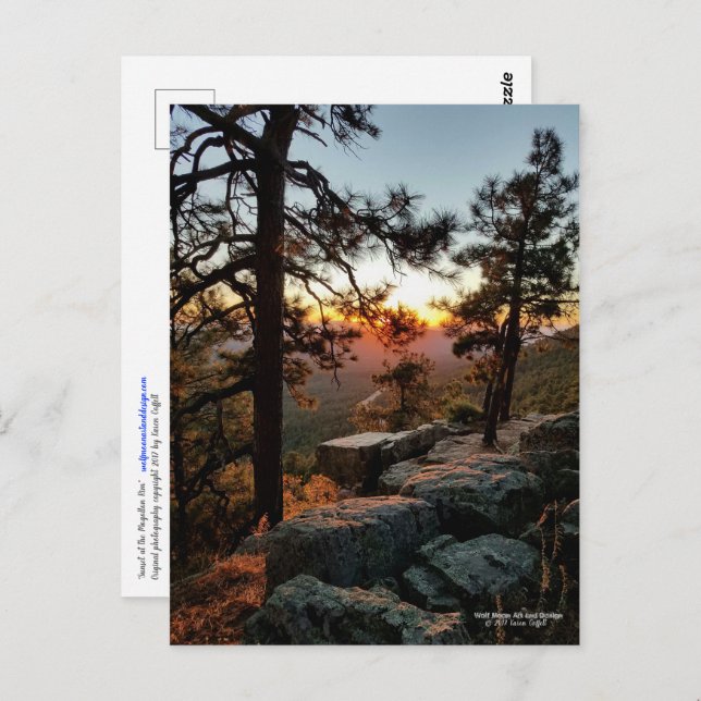 Sonnenuntergang am Mogollon Rim Arizona Postkarte (Vorne/Hinten)