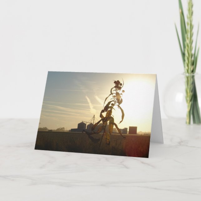 Sonnenuntergang am Morgen, Iowa Karte (Vorderseite)