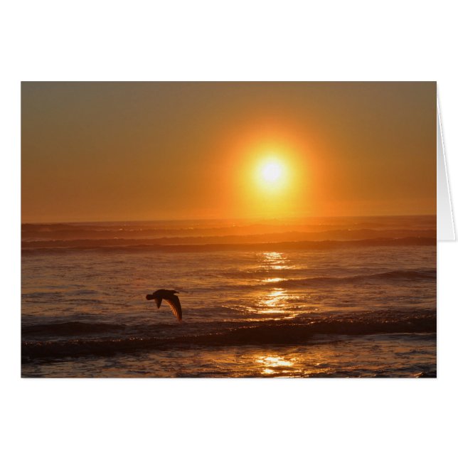 Sonnenuntergang am Pazifik (Vorderseite (Horizontal))