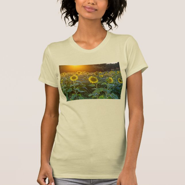 Sonnenuntergang am Sonnenblumenfeld-T - Shirt (Vorderseite)