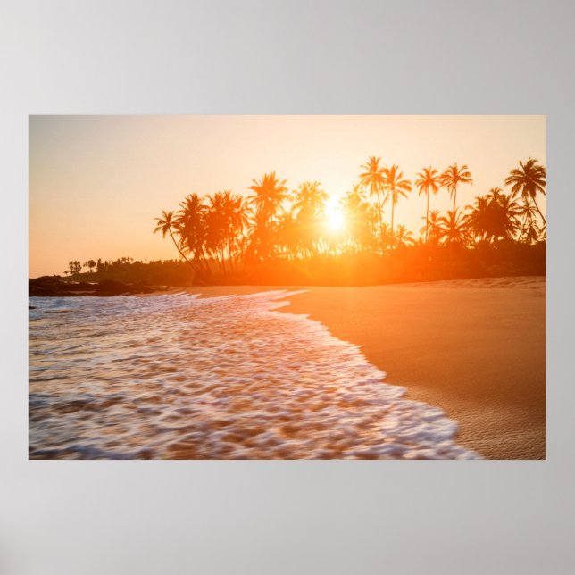 Sonnenuntergang am Strand mit Kokospalmen | Sri La Poster (Vorne)