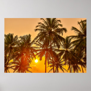 Sonnenuntergang am Strand von Sri Lanka Poster