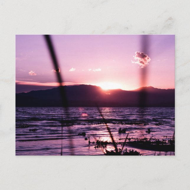 Sonnenuntergang am Utah Postcard Postkarte (Vorderseite)