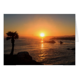 Sonnenuntergang an der Westküste