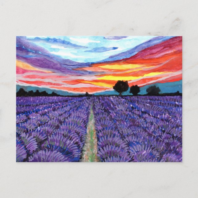 Sonnenuntergang auf dem Lavender Field Postkarte (Vorderseite)