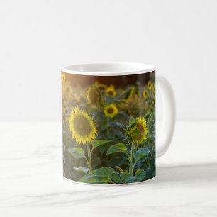 Sonnenuntergang auf dem Sonnenblumenfeld Kaffeetasse