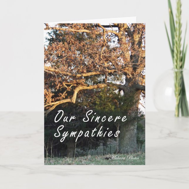 Sonnenuntergang auf der Baum-Beileidskarte Karte (Vorderseite)