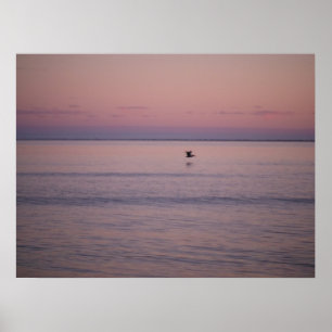 Sonnenuntergang auf der Insel Sullivan Poster