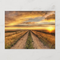 Sonnenuntergang auf der Landstraße