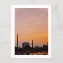 Sonnenuntergang auf der Landstraße