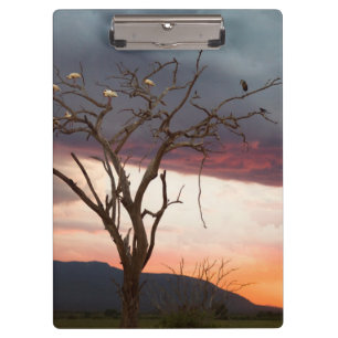 Sonnenuntergang auf Kandheri-Sumpf mit Afrikanisch Klemmbrett