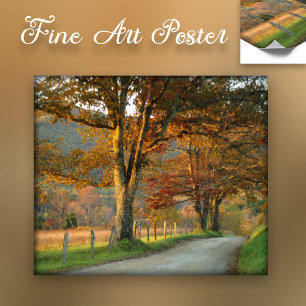 Sonnenuntergang auf Sparks Lane Poster