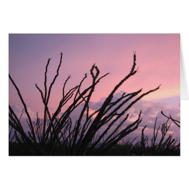 Sonnenuntergang bei Lavendeln (Vorderseite (Horizontal))