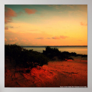 Sonnenuntergang beim Ridge des Jockeys Poster
