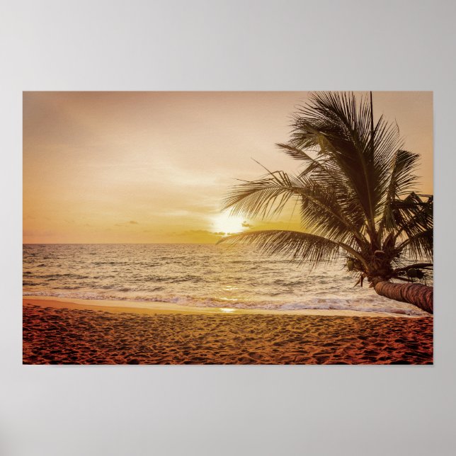 Sonnenuntergang Coconut Palm am Strand Poster (Vorne)