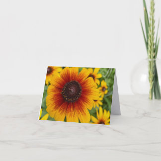 Sonnenuntergang Daisy Fine Art Fotografie Faltnoti Dankeskarte