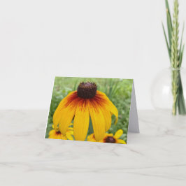 Sonnenuntergang Daisy Fine Art Fotografie gefaltet Dankeskarte